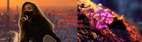 кокс Белокуриха