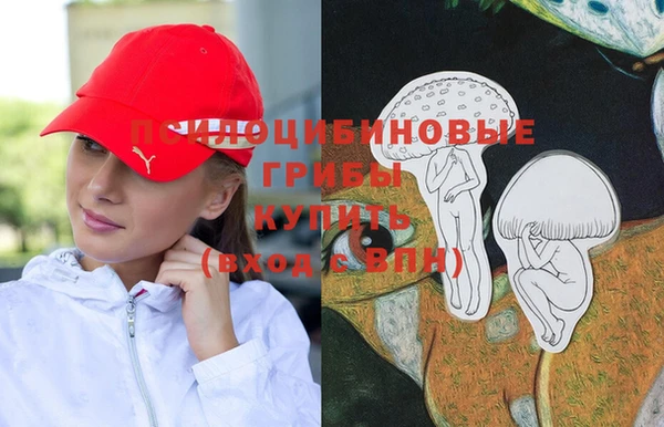 кокс Белокуриха