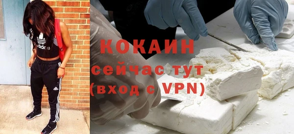 кокс Белокуриха