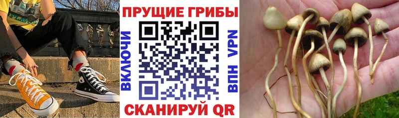 Галлюциногенные грибы Cubensis  цены наркотик  hydra tor  Чайковский 